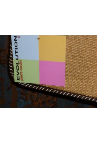 sac à main modèle Evolution