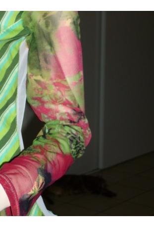 chemisier queue de pie dominante vert