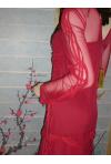 AUTUMN 2009 : red dress STQ (2008)